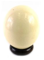 An undecorated ostrich egg, on a turned wooden stand, 16cm high.
