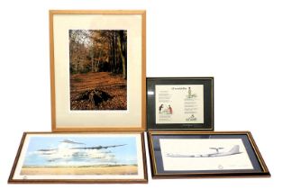 Three aviation prints, comprising after Dugald Cameron, Centenary AEW1 8 Squadron, bearing printed s