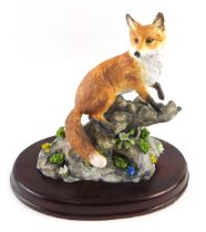 A Coalport limited edition porcelain figure of The Red Fox, number 56/1000 with stand and paperwork.