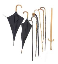 A quantity of walking canes, two umbrellas and a walking stick or shillelagh, etc.