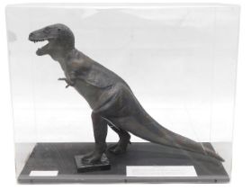 A museum model of a Tyrannosaurus Rex dinosaur, in fitted perspex case, 62cm wide.