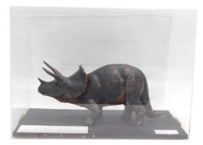 A museum model of a Triceratops dinosaur, in fitted perspex case, 53cm wide.
