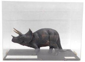 A museum model of a Triceratops dinosaur, in fitted perspex case, 52cm wide.