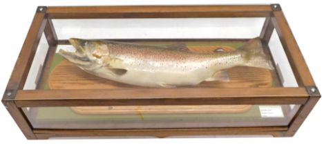 A taxidermied Rainbow Trout, in perspex fitted case.