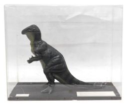A museum replica of an Iguanadon dinosaur, in Perspex case, 62cm wide.