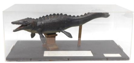 A museum replica of a Tylosaurus dinosaur, in Perspex case, 52cm wide.