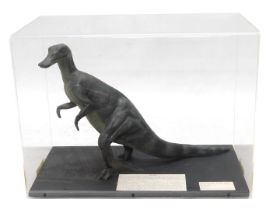 A museum model of Trachodon dinosaur, in fitted perspex case, 54cm wide.