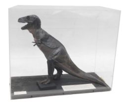 A museum model of Tyrannosaurus Rex dinosaur, in fitted perspex case, 63cm wide.