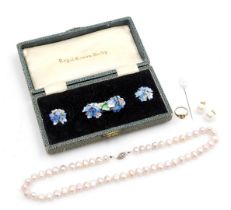 A string of freshwater pearls, on a metal clasp, Royal Crown Derby porcelain floral brooch, and matc