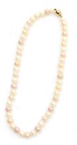 A string of uniform cultured pearls with a white or pink hue, on a ball clasp stamped 9ct.