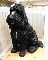 A Vivid Arts model of a cockapoo, in black, 45cm high.