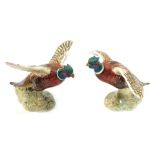 Two Beswick pottery figures modelled as pheasants in flight, 849 and 850, printed and impressed mark