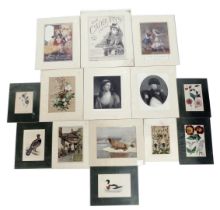 Book plate prints, advertising posters, pull out flora and fauna, etc. (a quantity)
