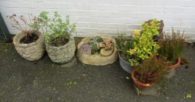 A pair of reconstituted stone garden planters, a rock pool with frog ornament, steel bucket, own orn