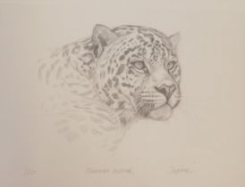 After Maureen Humer. Jaguar, limited edition print, 1/150, 29cm x 38cm, silvered frame.