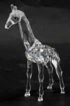 A Swarovski crystal figure of a giraffe, 13cm high, boxed with certificate.