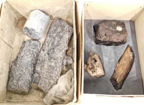 Three petrified/sliced wood, and three mineral samples. (2 boxes)