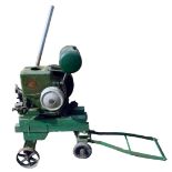 A Ruston Hornsby stationary engine on wooden trolley base, green painted, number 203642, 92cm high,