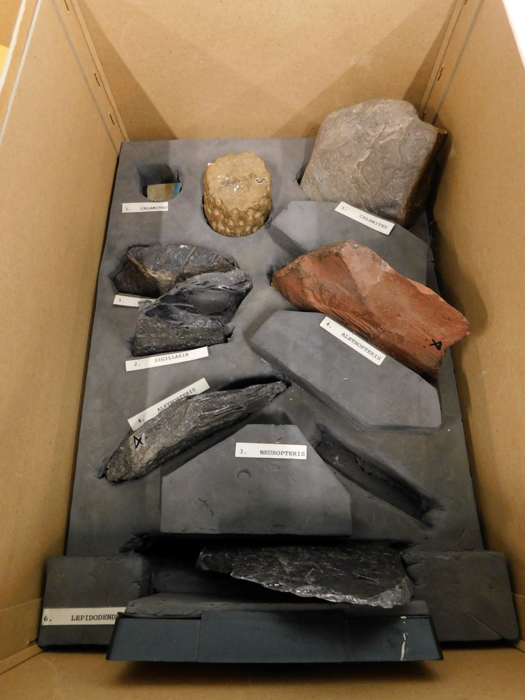 Four geology mineral samples. - Image 2 of 5