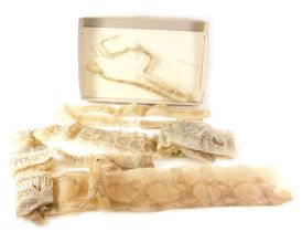 A quantity of shed snake skin.