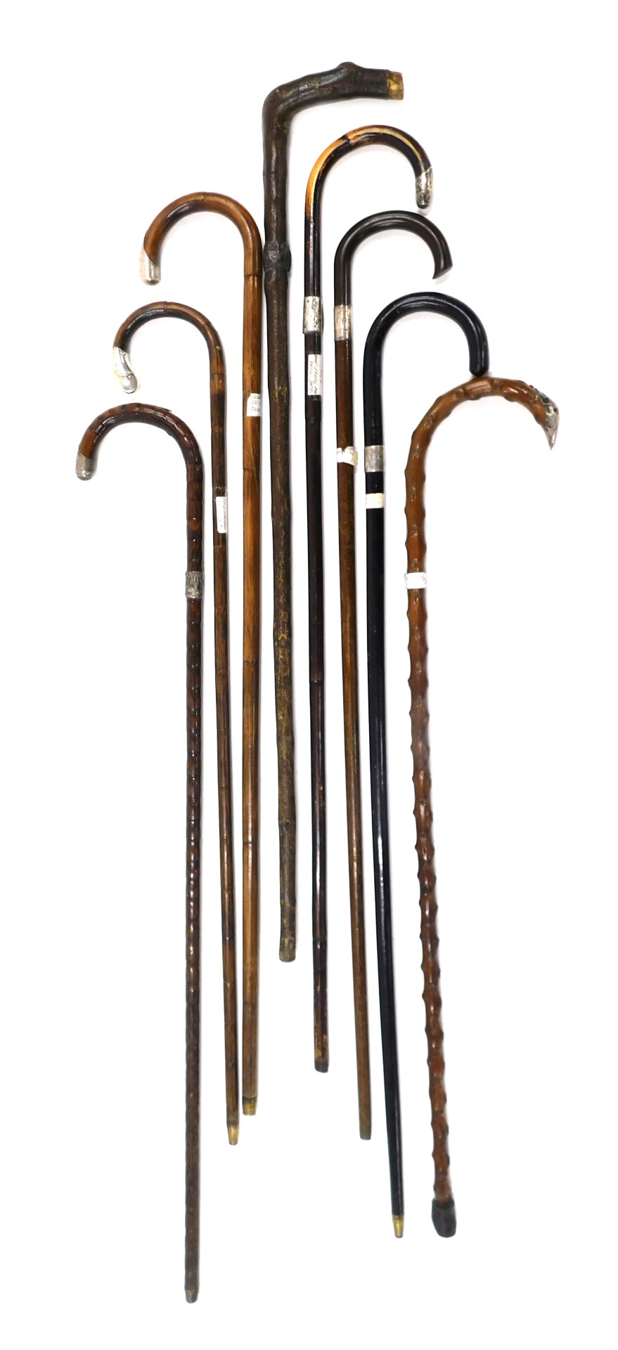 A collection of bamboo and other walking sticks, each with silver mounts.