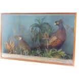 Two taxidermied game birds, pheasant and partridge, both in glazed case, 81cm wide.