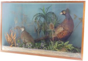 Two taxidermied game birds, pheasant and partridge, both in glazed case, 81cm wide.