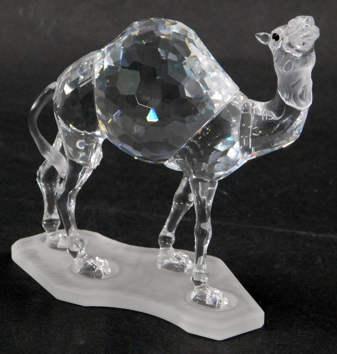 A Swarovski crystal camel figure, on frosted base, 12cm high, boxed.