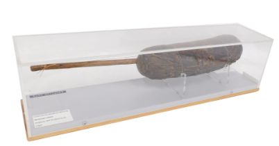 Tribal Art. An Egyptian loot musical instrument, 53cm wide, in presentation Perspex case.