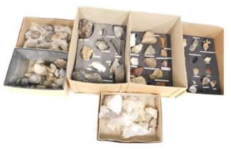 A group of fossil and mineral samples, to include quartz crystals, calcite, Blue John, Laematite, de