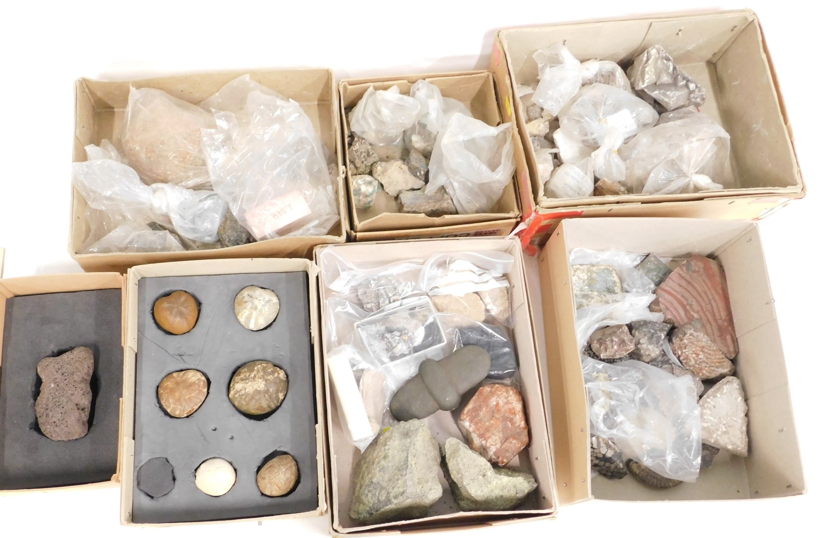 Various minerals and fossil samples, to include quartz echinoids, calcide, lava, part ammonite, quar