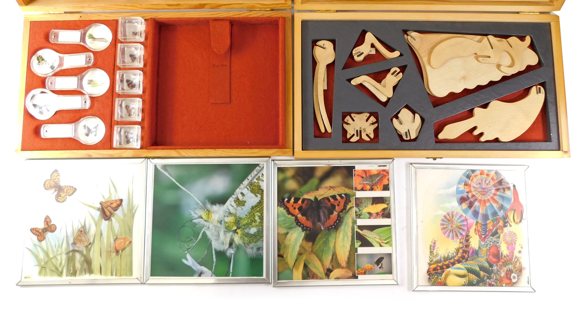 Two cased wooden butterfly construction kits.