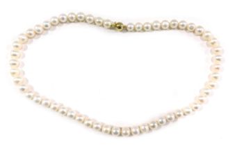 A string of cultured pearls, each with a white lustre finish, on knotted string strand, with gold pl