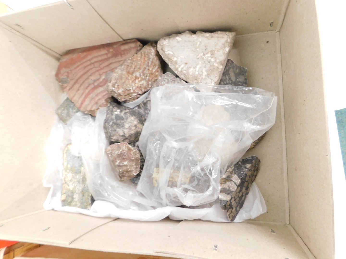 Various minerals and fossil samples, to include quartz echinoids, calcide, lava, part ammonite, quar - Image 7 of 8