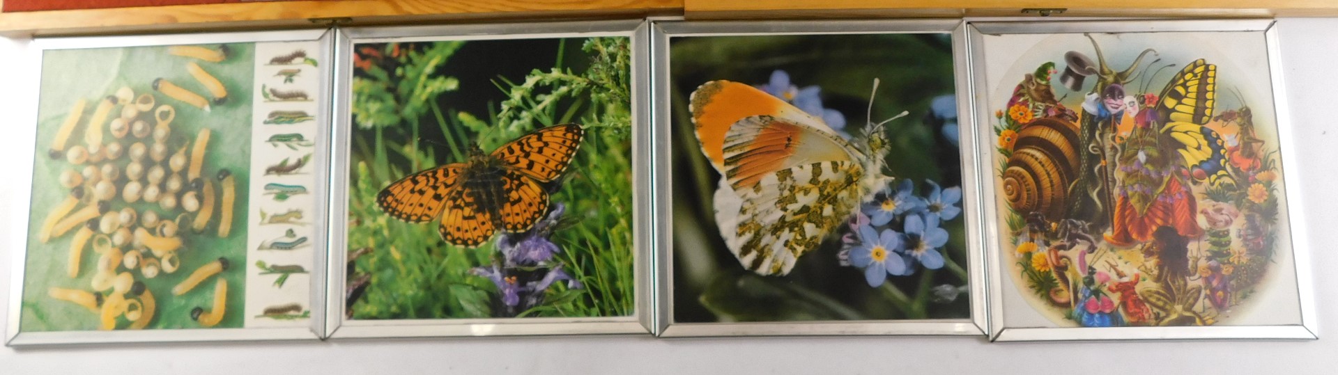 Two cased wooden butterfly construction kits. - Image 4 of 5