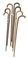 A collection of bamboo and other walking sticks, each with a silver or white metal mount.