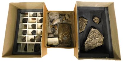 A collection of fossilised ammonite, coral, mineral, and mineral samples. (3 boxes)