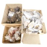 Various geology and minerals, comprising stigmaria, calommites, bivalves, etc. (3 boxes)