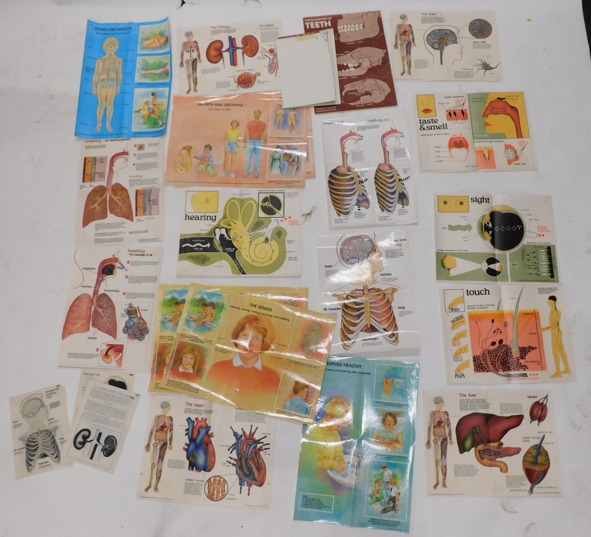 Miscellaneous pictures, prints, documents and CDs, to include museum guide cards, African Music Cent - Image 6 of 6