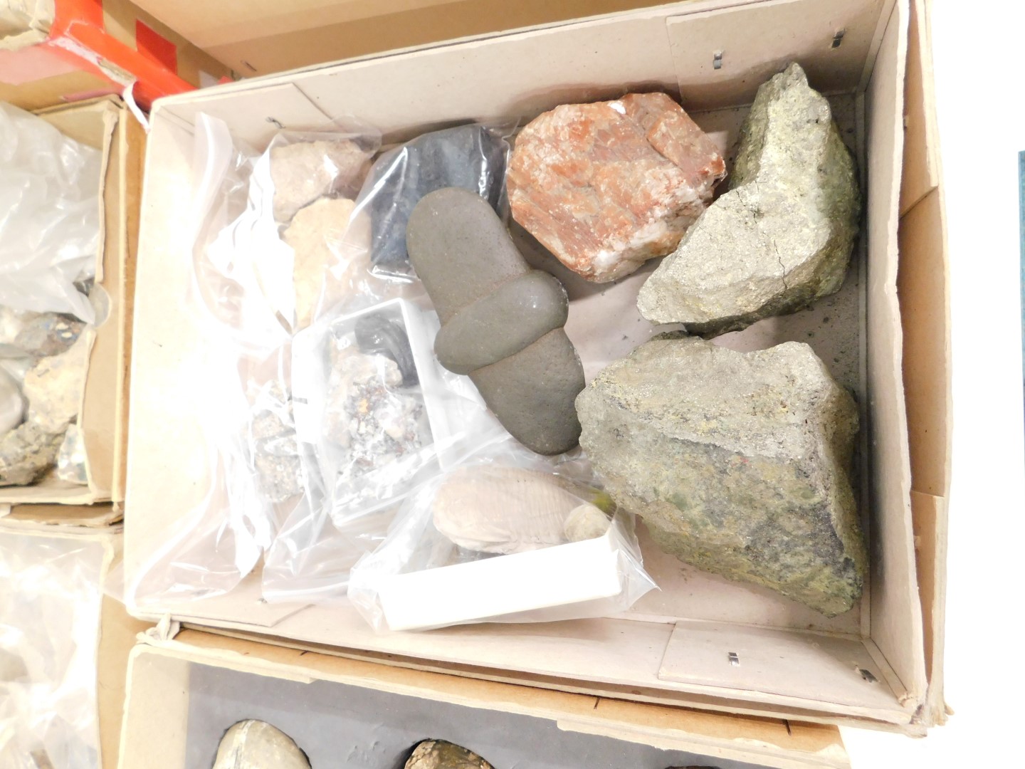 Various minerals and fossil samples, to include quartz echinoids, calcide, lava, part ammonite, quar - Image 5 of 8
