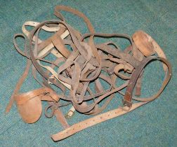 Various leather horse riding belts.