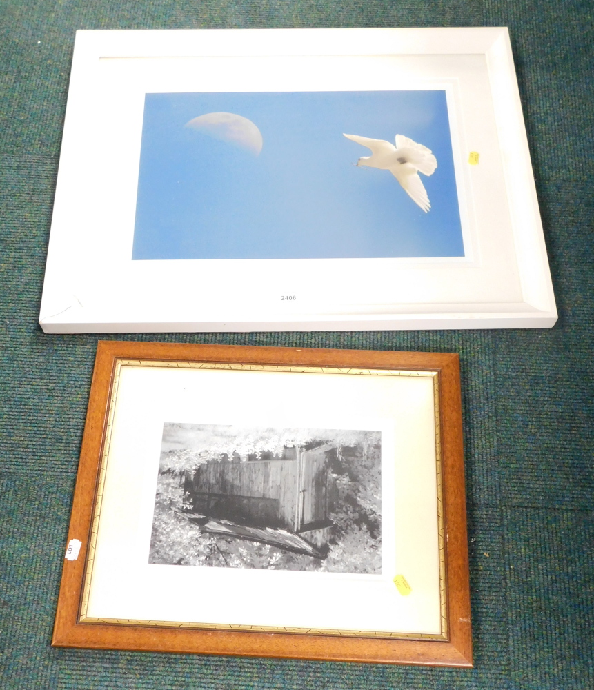 20thC School. Dove flying towards the moon, colour photograph, 33cm x 47cm, and a photograph by Will
