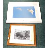 20thC School. Dove flying towards the moon, colour photograph, 33cm x 47cm, and a photograph by Will