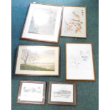 Pictures and prints, comprising after Jacqueline Bouxdittom to Cat, landscape tree scene, Oriental b