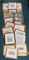 Various pictures and prints, to include cottage scenes, framed car cigarette cards, boating prints,