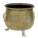 A late 19thC brass log bucket, with twin lions head and ring handles, raised on three paw feet, 35.5