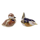 A Royal Crown Derby Imari paperweight, modelled as a swimming duckling, gold button and another mode