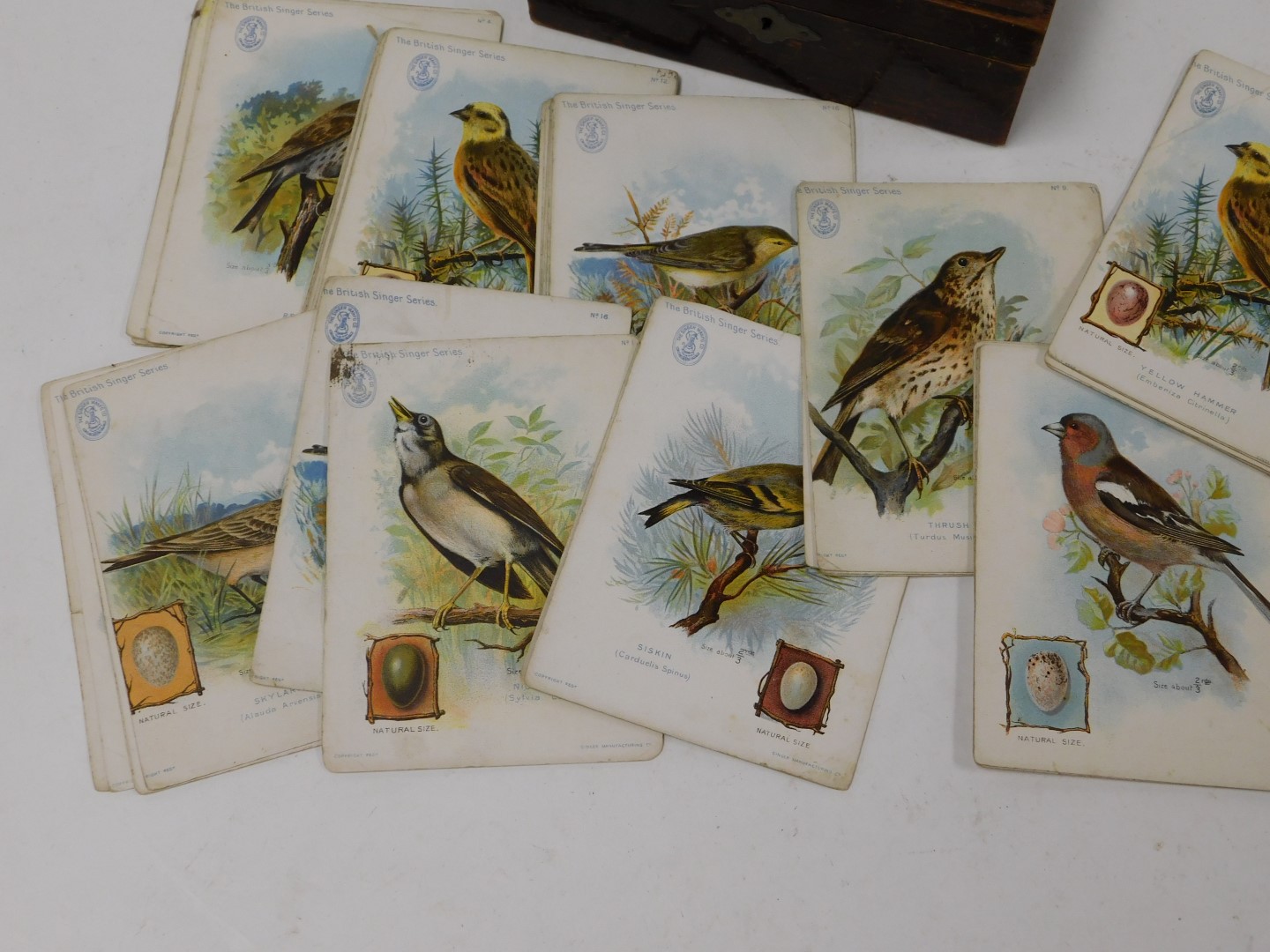 An early 20thC trade cards, the British singer series, ornithological series, with details verso, in - Image 2 of 4