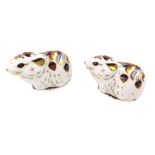 A pair of Royal Crown Derby Imari porcelain paperweights, modelled as the Bank Vole, exclusive for t