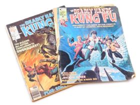 Marvel comics. Two editions of The Deadly Hands of Kung Fu, Issues 16,30.